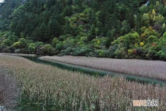九寨沟开放了吗 九寨沟旅游攻略