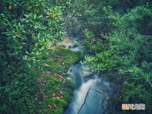 九寨沟开放了吗 九寨沟旅游攻略
