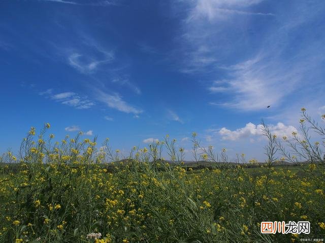 九寨沟归哪个城市 九寨沟在四川哪个城市