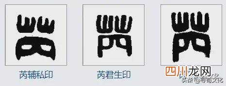 芮姓汉字书法演变过程 芮字怎么读