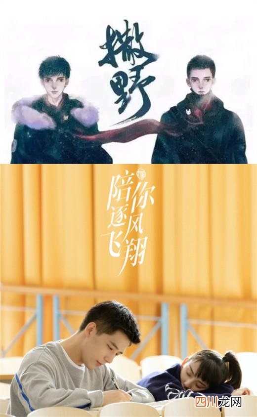 王安宇个人资料 王安宇