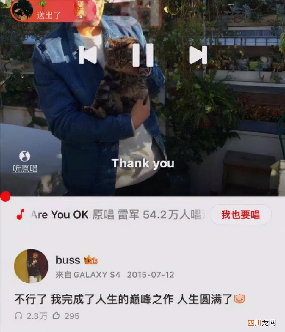 王安宇个人资料 王安宇