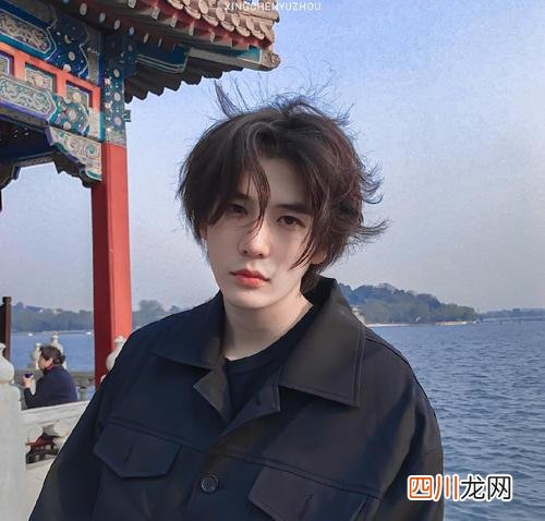 王安宇个人资料 王安宇
