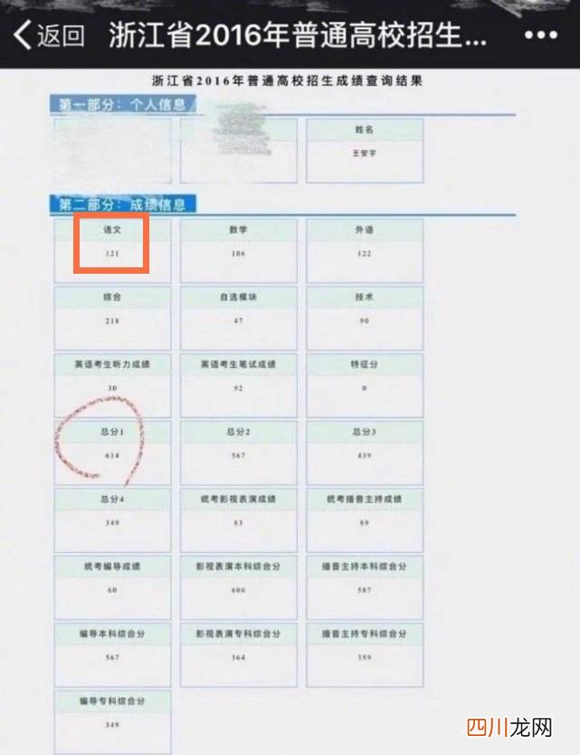 王安宇个人资料 王安宇