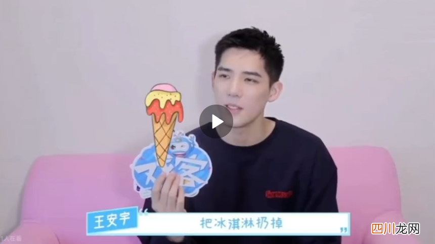 王安宇个人资料 王安宇