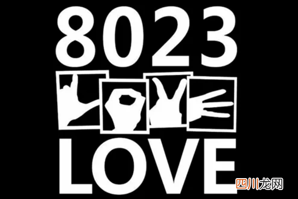 8023真正的含义 8023是什么意思啊