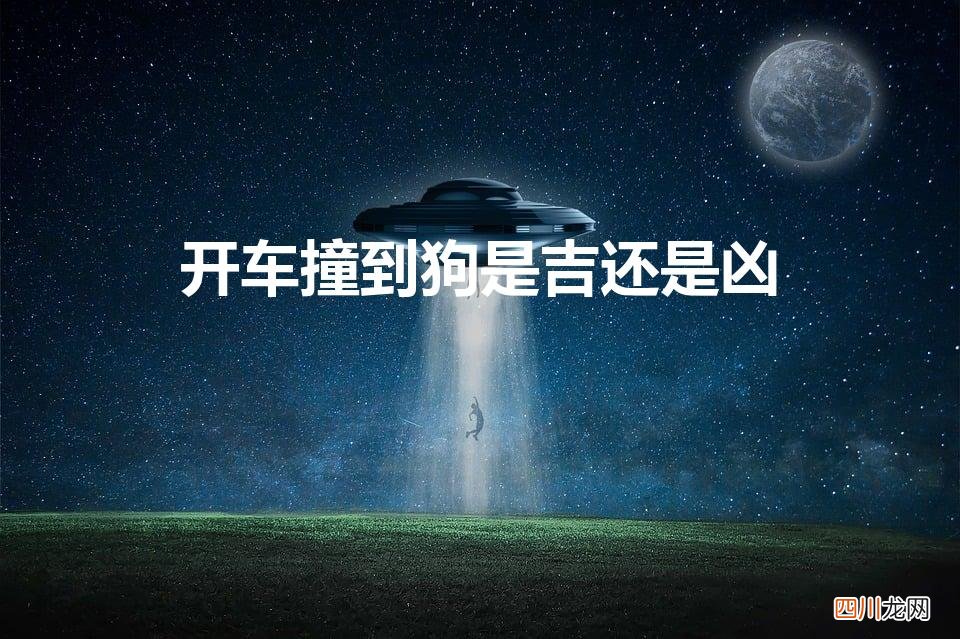 开车撞到狗有什么兆头 开车撞到狗是吉还是凶