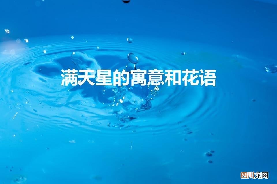 满天星的花语和寓意 满天星的寓意和花语