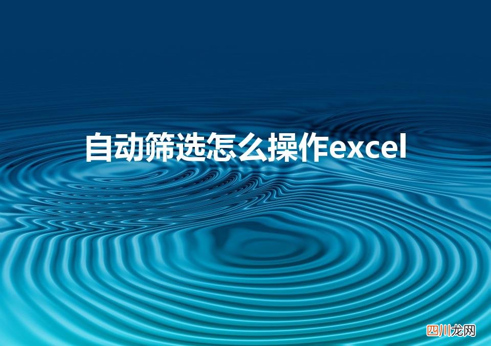 excel自动筛选条件怎么设置 自动筛选怎么操作excel