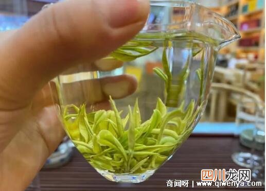 因为名字一直混淆 珍稀白茶和安吉白茶区别，前面白茶后面绿茶