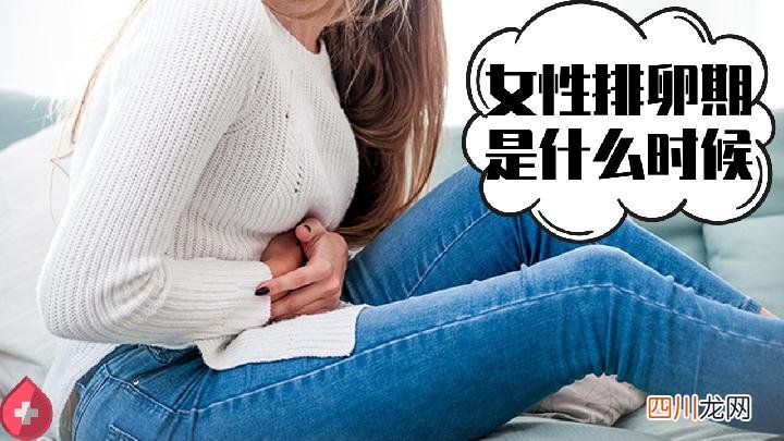 美容护肤妙招 美容护肤安卓版