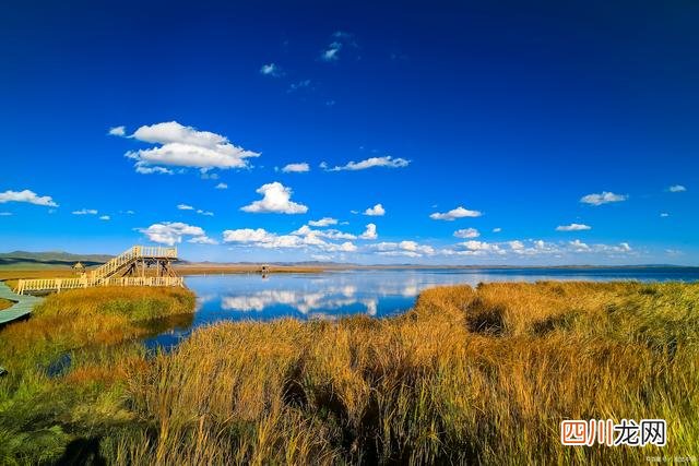 青海旅游团报价4日游 青海旅游团