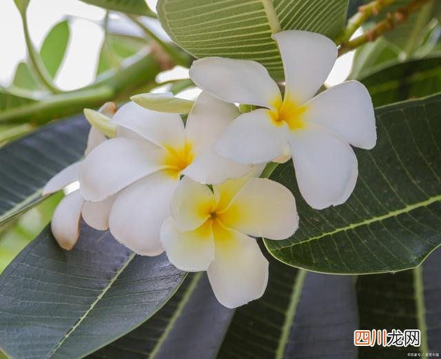 从72岁到80岁，我经历了3种养老模式 70-80岁老人养老