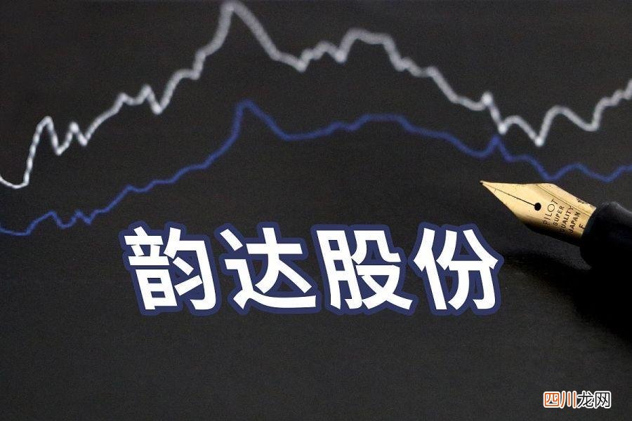 快递业的领军企业，未来增长潜力无限 韵达快递查询单号