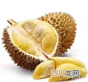 最好吃的五个榴莲品种，你吃过哪一种？ 什么品种的榴莲好吃