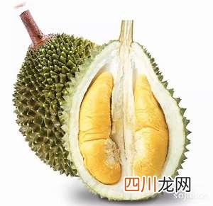 最好吃的五个榴莲品种，你吃过哪一种？ 什么品种的榴莲好吃