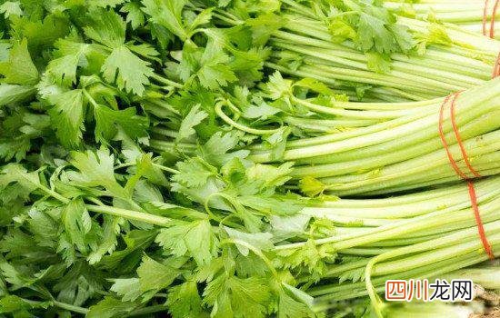 山药排有吸油功效 刮油最狠的四种减肥蔬菜