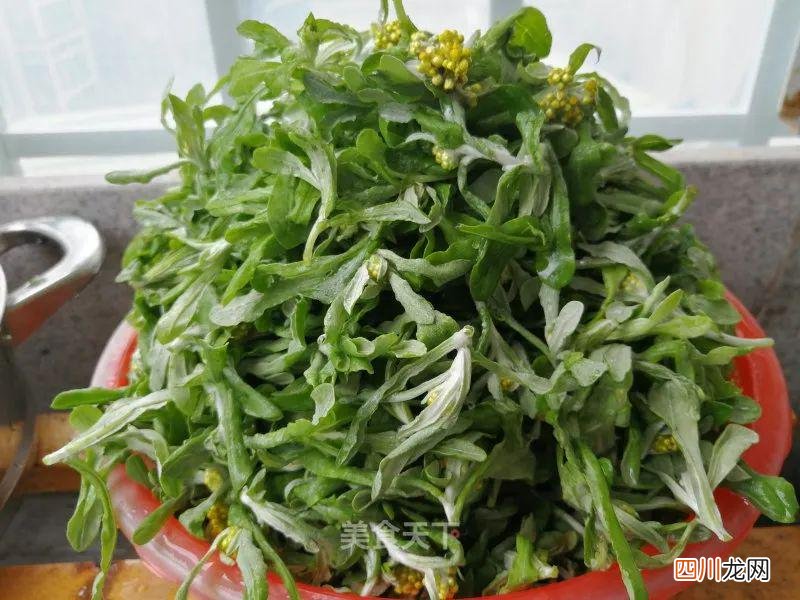 春食之王！青团的详细做法来了 青团的做法和配方