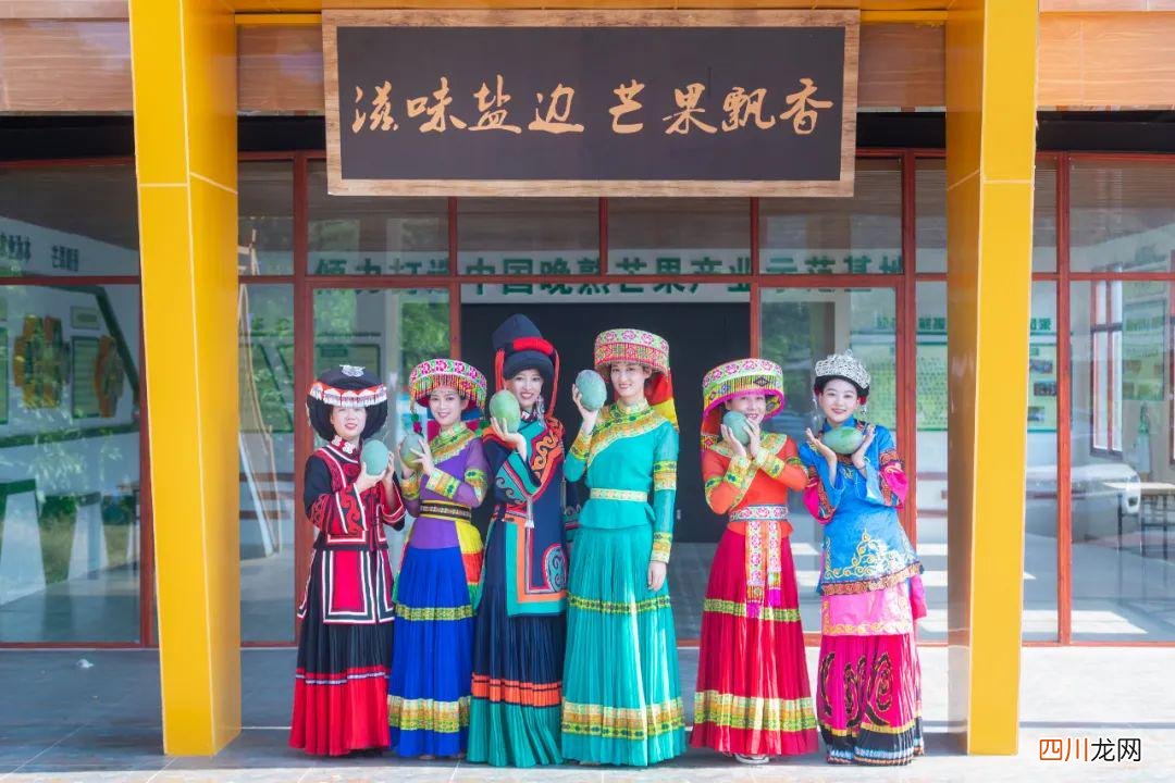 又是一年丰收季 芒果是什么季节丰收的水果