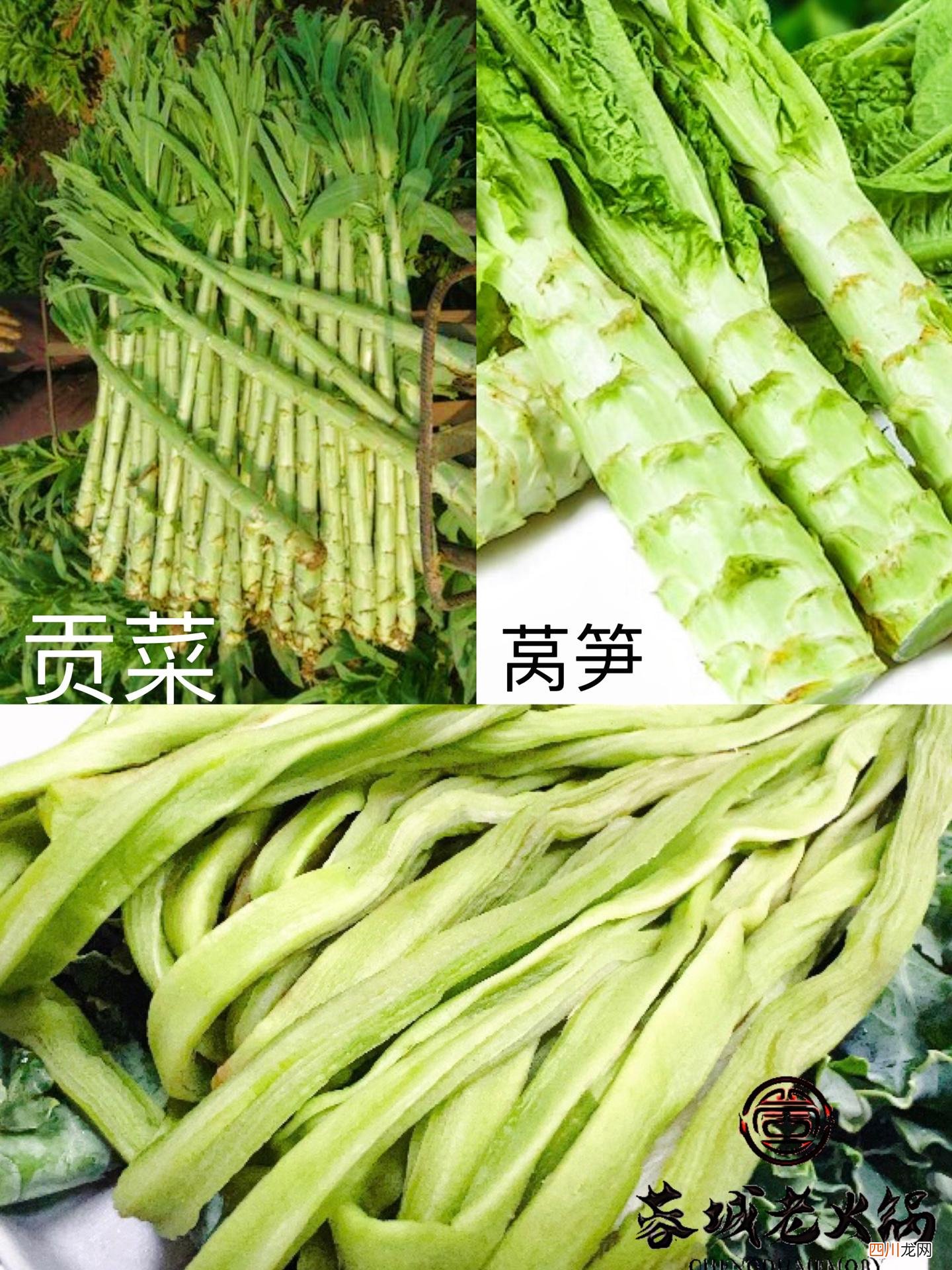 科普—贡菜是莴笋吗 贡菜是什么菜
