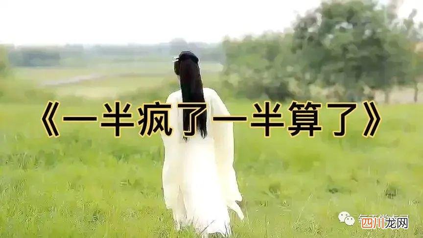 刘振宇 一半疯了一半算了原唱